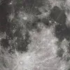 kaan Çiftçi - @kaanciftci1 - TikTok
