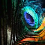 Kabir Syed - Facebook