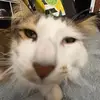 kaceesmith03 - @kaceesmith03 - TikTok