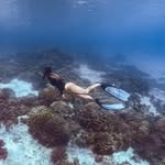 Kasey Barnes - @kaseybarnes - Instagram