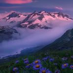 Kacey Ely - Facebook