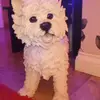 kaceyferguson - @sandraferguson09 - TikTok