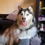 Kacey Hanson - @kaceyfiction - Instagram
