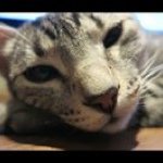 Kacey Henderson - @skullcrushergirl200 - Instagram