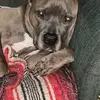 Casey Pearson - @casey.pearson01 - TikTok