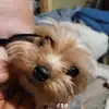 kaceyphillips08 - @kaceyphillips08 - TikTok