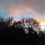 Kacey Robinson - @kacey_photography_2004 - Instagram