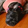 Kacey - @kaceysharpay - TikTok