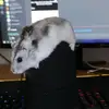 Kacey - @kaceywebb013 - TikTok