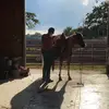Kasey Williamson - @kaseywilliamson5 - TikTok