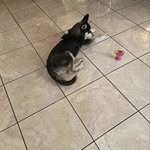 @kaci_bella_bella - Instagram