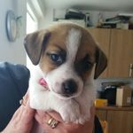 kaci stokes - @dirpy2468_ - Instagram