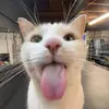 Kaci - @kaciayer - TikTok