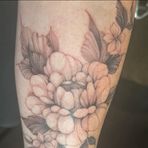 Kacie Livingston-Joyce - Facebook