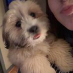 Kacie Simon - Facebook