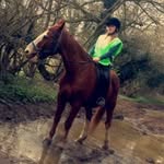 Kacie Singleton - @kaciesingleton1234 - Instagram