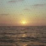 Son Matern - @kaciewinterstein365 - Instagram