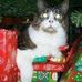 Kacy Barron - Facebook