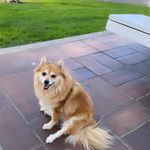 @kacychouchou5555 - Instagram