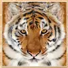 Kadar Singh411 - @kadarsingh411 - TikTok