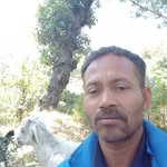 kadarsingh - @kadarsingh668 - Instagram
