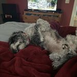 cade hampton - @c.hamp1013 - Instagram