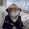 kadeleonard0 - @kadeleonard0 - TikTok