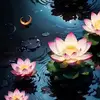 kademorgan3 - @k7972173 - TikTok
