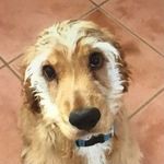 Kade Powell - @kade_powelly_ - Instagram