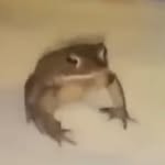 Kade Richard - @communistbushgoat - Instagram