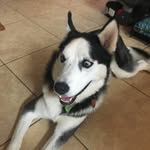 Kade Richard - @kade_richard - Instagram