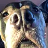 Kade_Schultz - @johnwick14977 - TikTok
