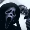 Kade😮‍💨 - @kadesparks3 - TikTok