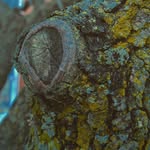 Kade A. Sweeney - @kade.photos - Instagram
