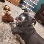 Kade Warner - Facebook