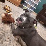 Kade Warner - @kadewarner4 - Instagram