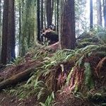 Kadeem Moore - @kadeemmoore - Instagram