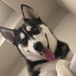 Kaden Abbott - @kaden__abbott - Instagram