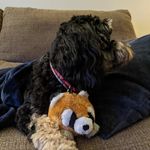 Caden Baird - @baird_caden - Instagram