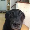 Kadence_Baird - @kadencebaird - TikTok