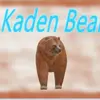 KADEN BEAL - @kadenbeal8 - TikTok