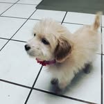 kaden beard - @bitsiebanks - Instagram