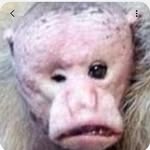 kaden bell - @kaden_bell13 - Instagram