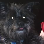 Kaden brewer - @kaden_brewer - Instagram