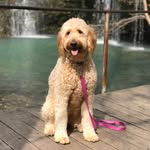Kaden Brock Nash - @kadennash_ - Instagram