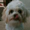 kayden castro - @warmhearted_kids - TikTok