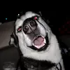 kadenchen612 - @kadenchen612 - TikTok