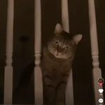 Kaden Collins - @kadencollins4 - Instagram
