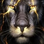 Kaden Cooper - @kaden.cooper.9615 - Instagram