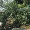 Dumptruckbooty68 - @kadenday790 - TikTok